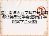 厦门南洋职业学院共开设有哪些类型奖学金(厦南洋学院奖学金类型)