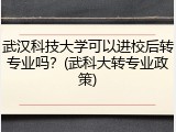 武汉科技大学可以进校后转专业吗？(武科大转专业政策)