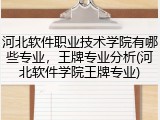 河北软件职业技术学院有哪些专业，王牌专业分析(河北软件学院王牌专业)
