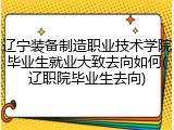 辽宁装备制造职业技术学院毕业生就业大致去向如何(辽职院毕业生去向)