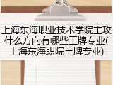 上海东海职业技术学院主攻什么方向有哪些王牌专业(上海东海职院王牌专业)