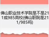 佛山职业技术学院是不是211或985高校(佛山职院是211/985吗)