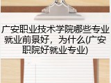 广安职业技术学院哪些专业就业前景好，为什么(广安职院好就业专业)