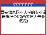 西安信息职业大学的专业设置概况介绍(西安信大专业概况)