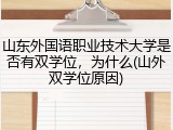山东外国语职业技术大学是否有双学位，为什么(山外双学位原因)