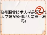 柳州职业技术大学是双一流大学吗?(柳州职大是双一流吗)