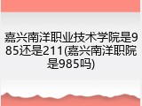 嘉兴南洋职业技术学院是985还是211(嘉兴南洋职院是985吗)