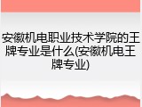 安徽机电职业技术学院的王牌专业是什么(安徽机电王牌专业)