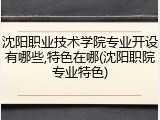 沈阳职业技术学院专业开设有哪些,特色在哪(沈阳职院专业特色)