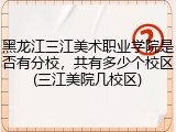 黑龙江三江美术职业学院是否有分校，共有多少个校区(三江美院几校区)