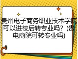 贵州电子商务职业技术学院可以进校后转专业吗？(贵电商院可转专业吗)