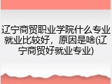 辽宁商贸职业学院什么专业就业比较好，原因是啥(辽宁商贸好就业专业)