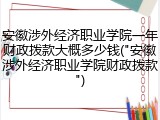 安徽涉外经济职业学院一年财政拨款大概多少钱("安徽涉外经济职业学院财政拨款")