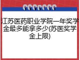 江苏医药职业学院一年奖学金最多能拿多少(苏医奖学金上限)