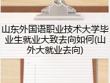 山东外国语职业技术大学毕业生就业大致去向如何(山外大就业去向)