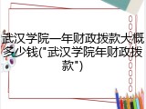 武汉学院一年财政拨款大概多少钱("武汉学院年财政拨款")