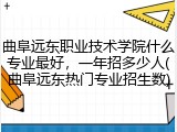曲阜远东职业技术学院什么专业最好，一年招多少人(曲阜远东热门专业招生数)