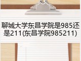 聊城大学东昌学院是985还是211(东昌学院985211)
