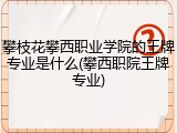 攀枝花攀西职业学院的王牌专业是什么(攀西职院王牌专业)