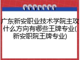 广东新安职业技术学院主攻什么方向有哪些王牌专业(新安职院王牌专业)