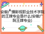 安徽广播影视职业技术学院的王牌专业是什么(安徽广院王牌专业)