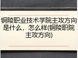 铜陵职业技术学院主攻方向是什么，怎么样(铜陵职院主攻方向)