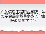 广东信息工程职业学院一年奖学金最多能拿多少("广信院最高奖学金")