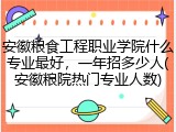 安徽粮食工程职业学院什么专业最好，一年招多少人(安徽粮院热门专业人数)