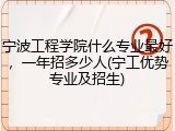 宁波工程学院什么专业最好，一年招多少人(宁工优势专业及招生)