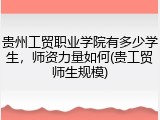 贵州工贸职业学院有多少学生，师资力量如何(贵工贸师生规模)