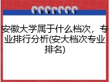 安徽大学属于什么档次，专业排行分析(安大档次专业排名)