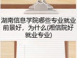 湖南信息学院哪些专业就业前景好，为什么(湘信院好就业专业)