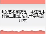 山东艺术学院是一本还是本科第二批(山东艺术学院是几本)