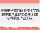 贵州电子商务职业技术学院的学生毕业都怎么样了(贵电商学生毕业去向)