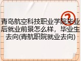 青岛航空科技职业学院毕业后就业前景怎么样，毕业生去向(青航职院就业去向)