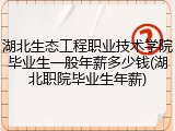 湖北生态工程职业技术学院毕业生一般年薪多少钱(湖北职院毕业生年薪)