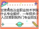 甘肃有色冶金职业技术学院什么专业最好，一年招多少人(甘肃职院热门专业招生)
