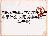 沈阳城市建设学院的王牌专业是什么(沈阳城建学院王牌专业)