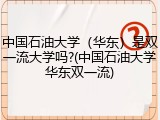 中国石油大学（华东）是双一流大学吗?(中国石油大学华东双一流)