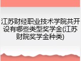 江苏财经职业技术学院共开设有哪些类型奖学金(江苏财院奖学金种类)