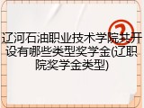 辽河石油职业技术学院共开设有哪些类型奖学金(辽职院奖学金类型)