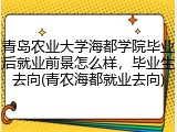 青岛农业大学海都学院毕业后就业前景怎么样，毕业生去向(青农海都就业去向)