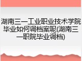 湖南三一工业职业技术学院毕业如何调档案呢(湖南三一职院毕业调档)