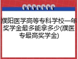 濮阳医学高等专科学校一年奖学金最多能拿多少(濮医专最高奖学金)