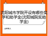 沈阳城市学院开设有哪些奖学和助学金(沈阳城院奖助学金)
