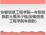 安徽信息工程学院一年财政拨款大概多少钱(安徽信息工程学院年拨款)