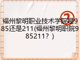 福州黎明职业技术学院是985还是211(福州黎明职院985211？)