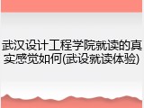 武汉设计工程学院就读的真实感觉如何(武设就读体验)