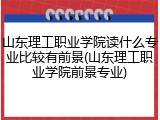 山东理工职业学院读什么专业比较有前景(山东理工职业学院前景专业)