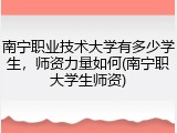 南宁职业技术大学有多少学生，师资力量如何(南宁职大学生师资)
